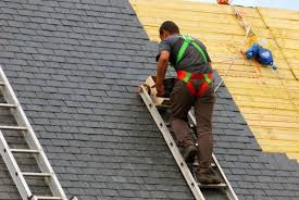 Best Roof Insulation Installation  in USA